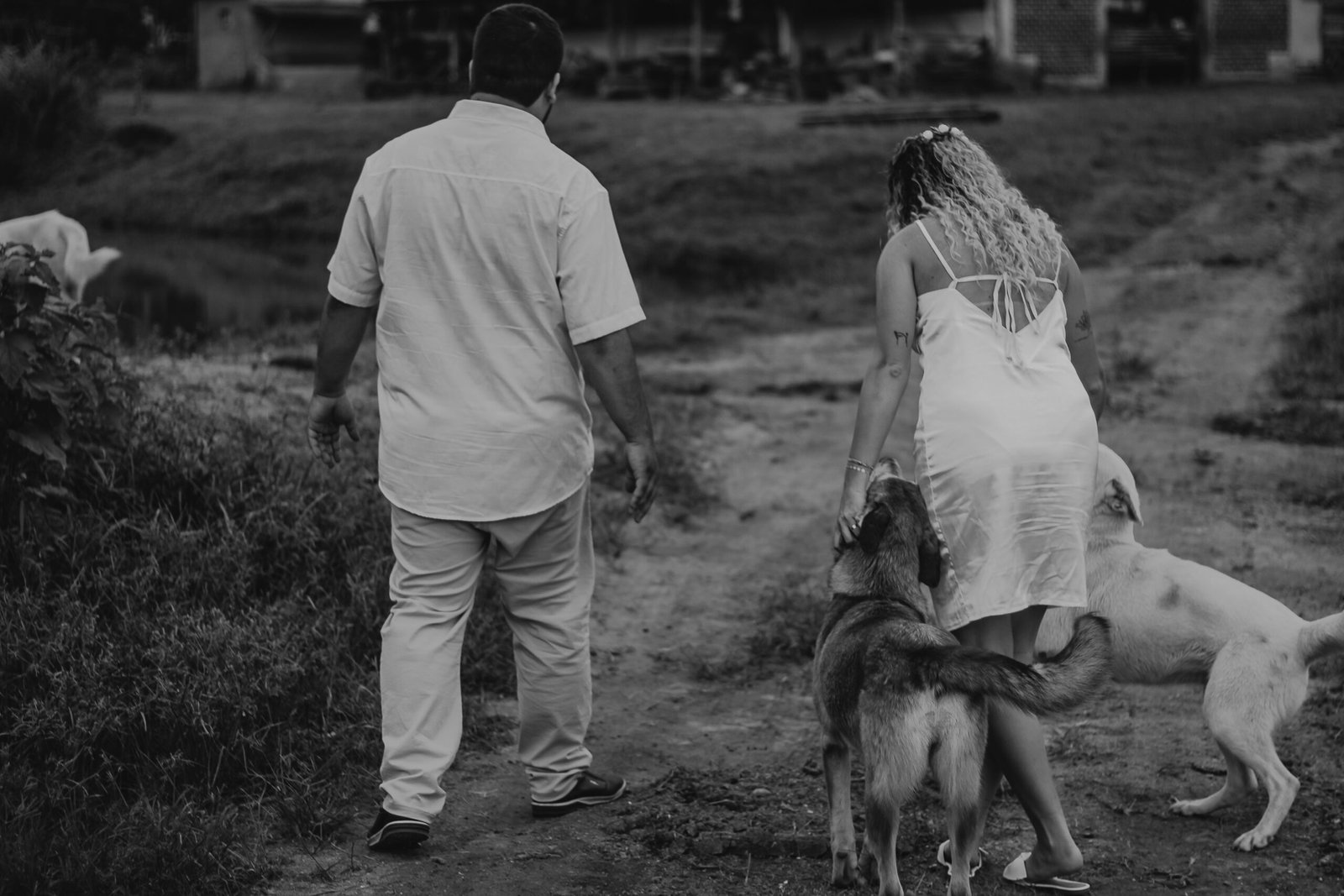 cachorro sendo acariciado por dois tutores durante conversa sobre guarda